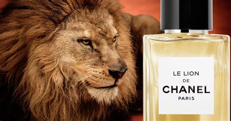 le lion chanel review|chanel le lion perfume.